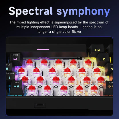 NK61 Wired Gaming Mechanical Keyboard 60% RGB Hot-Swappable 61 Keys Red Switch Mini Keyboard for Gamer PC